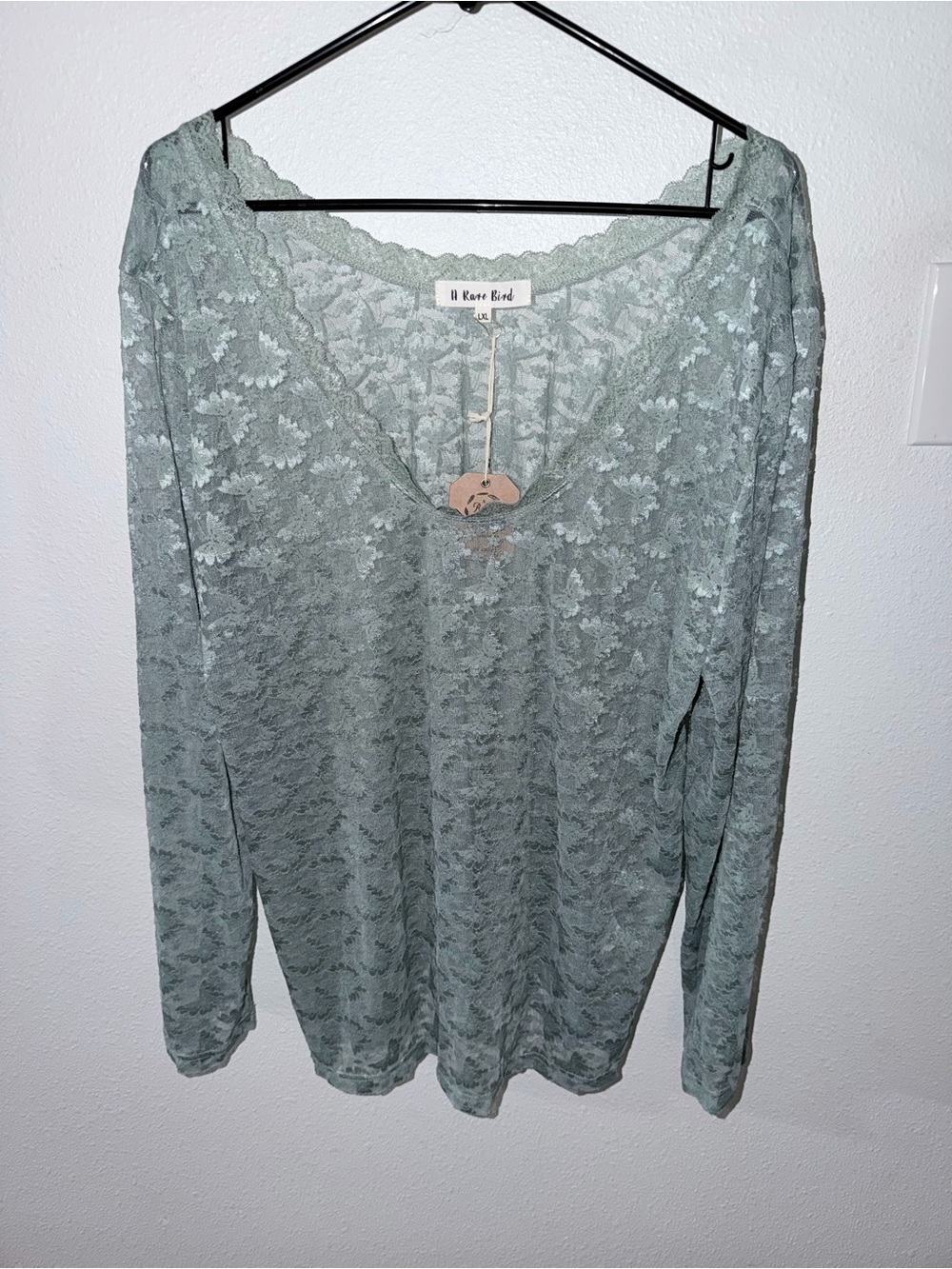 A Rare Bird Light Sage Lace V-Neck Long-Sleeve Top NWT